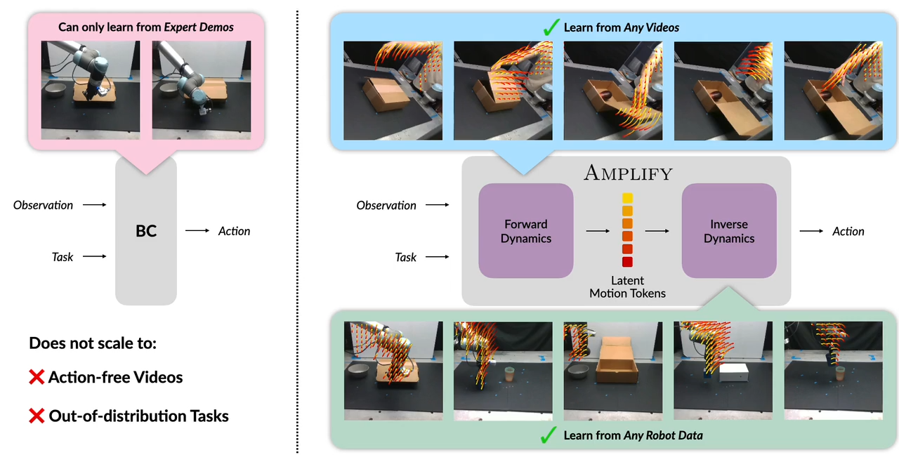 AMPLIFY method figure
